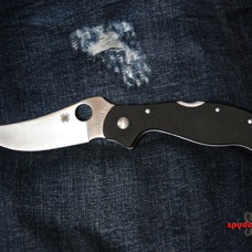 Spyderco_Persian_C83GP2_3.jpg